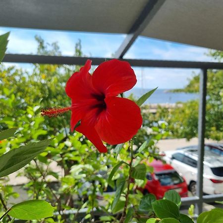 פודגורה Apartman Ruza מראה חיצוני תמונה