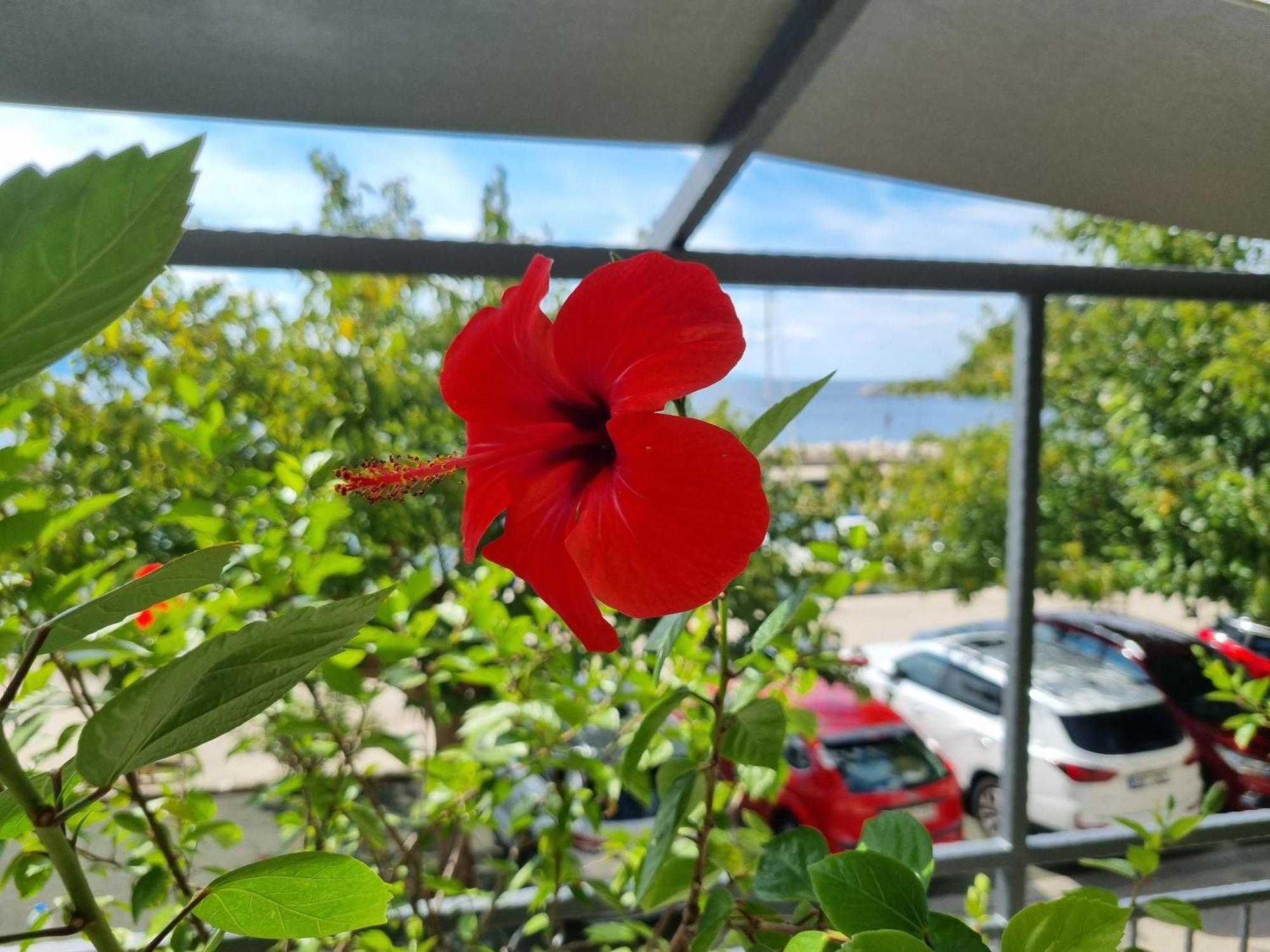 פודגורה Apartman Ruza מראה חיצוני תמונה